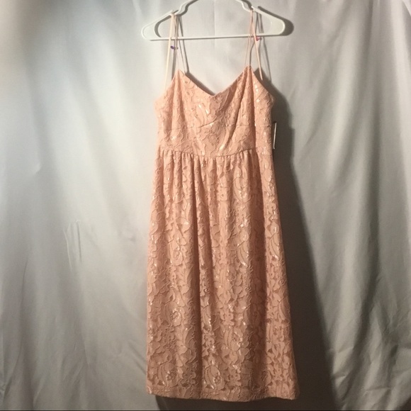 CeCe by Cynthia Steffe lace midi dress, rose, sz6 - Picture 3 of 8